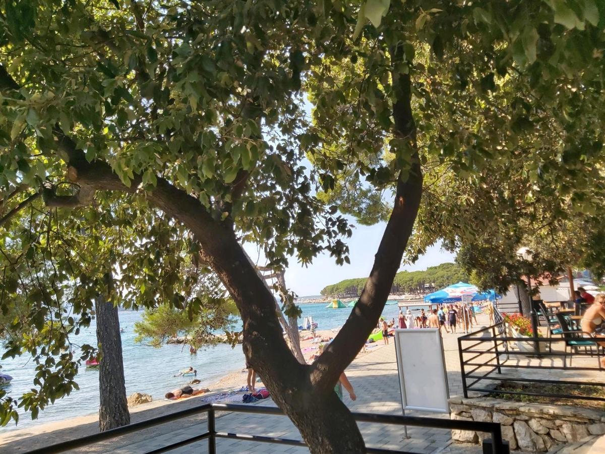 Mobile Home Sole Biograd Na Moru Exteriér fotografie